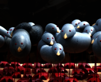 drupal entities